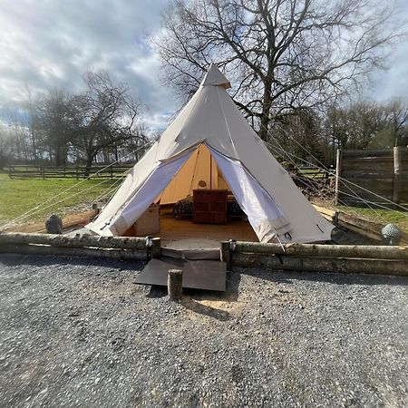 Chalet Au Coeur De La Nature Le Grand-Lucé エクステリア 写真